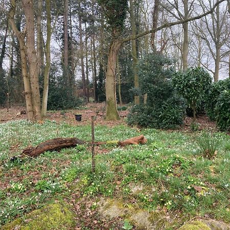 Woodland Retreat, Market Lane, Blundeston, Lowestoft Екстериор снимка