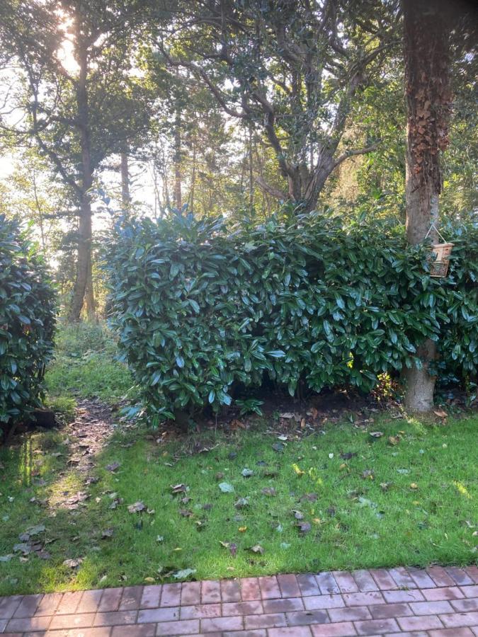 Woodland Retreat, Market Lane, Blundeston, Lowestoft Екстериор снимка