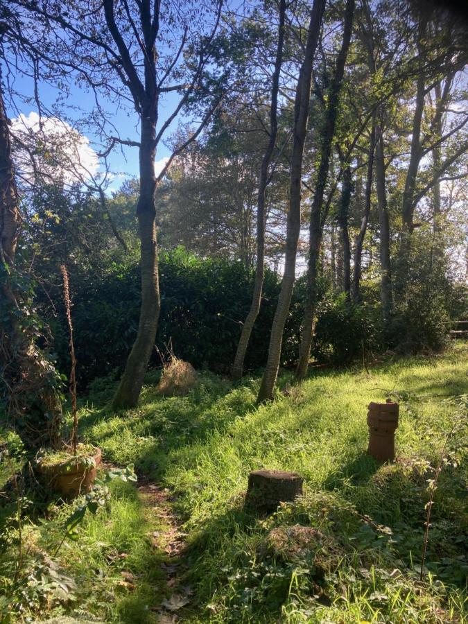 Woodland Retreat, Market Lane, Blundeston, Lowestoft Екстериор снимка