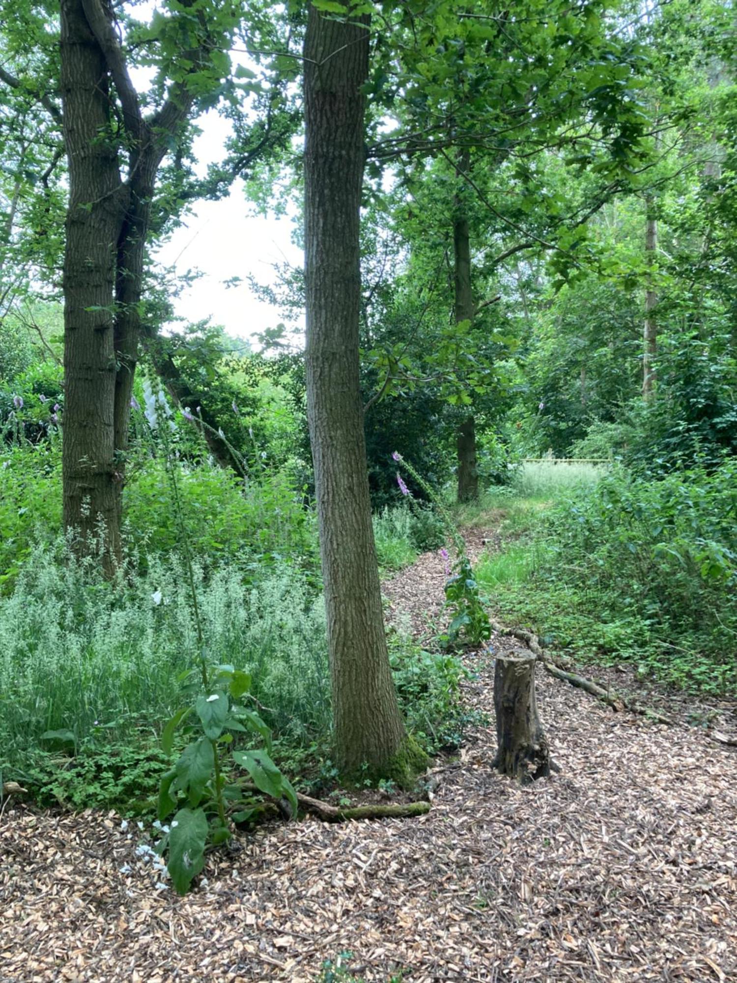 Woodland Retreat, Market Lane, Blundeston, Lowestoft Екстериор снимка